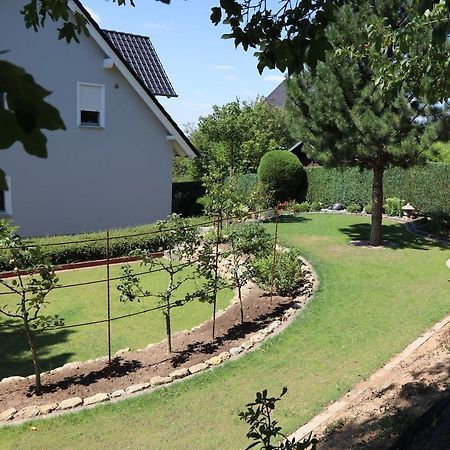 Duft- Und Parfuemfreie Allergiker-Fewo Mertendorf Esterno foto